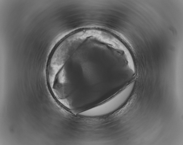 X0000111120943200907281026