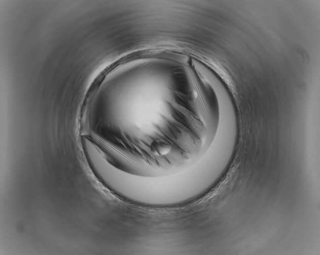 X0000111120944200907281026