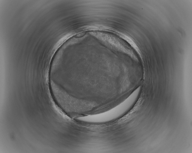 X0000111120946200907281026