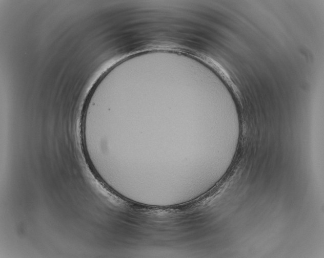 X0000111120947200907281026