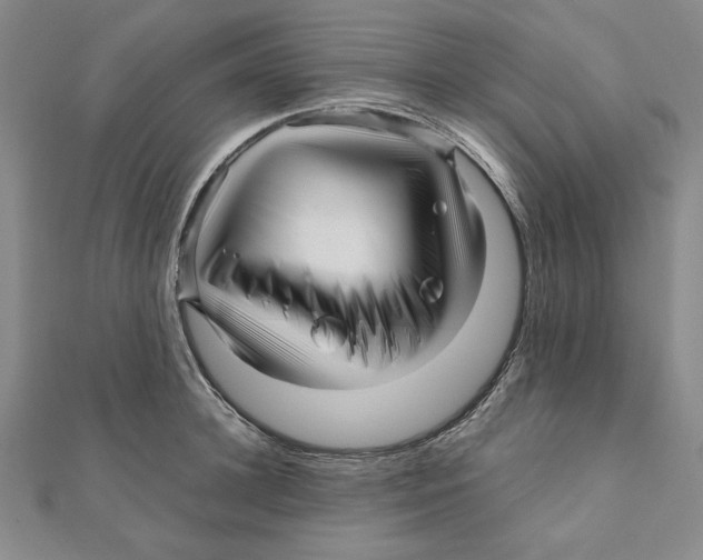 X0000111120948200907281026