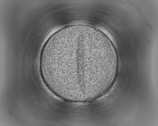 X0000111120949200907281026