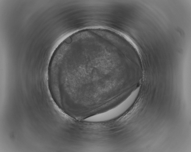 X0000111120951200907281026