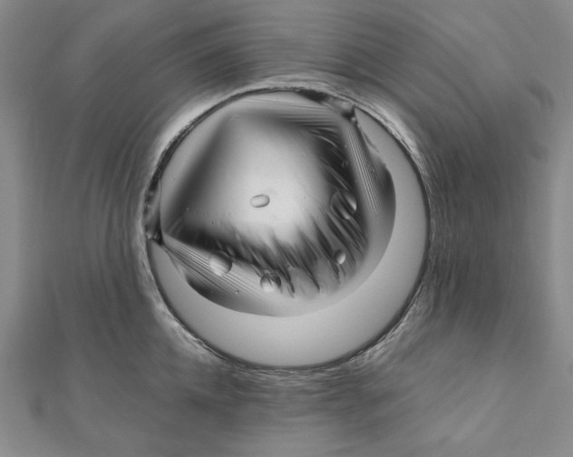 X0000111120952200907281026