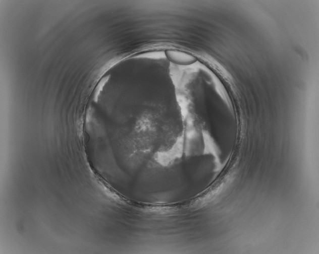 X0000111120953200907281026