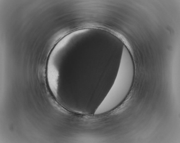 X0000111120954200907281026