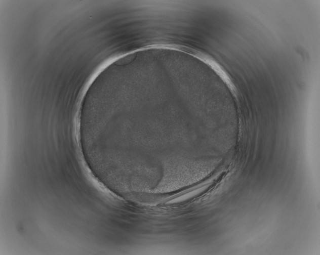 X0000111120955200907281026