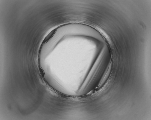 X0000111120956200907281026