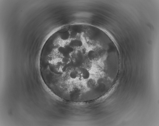 X0000111120957200907281026
