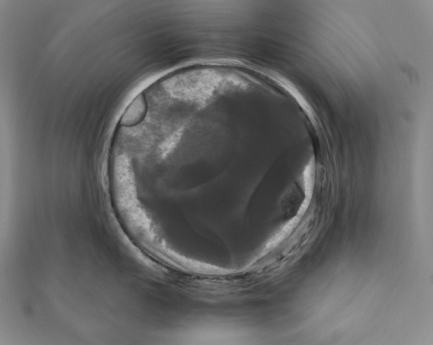 X0000111120959200907281026
