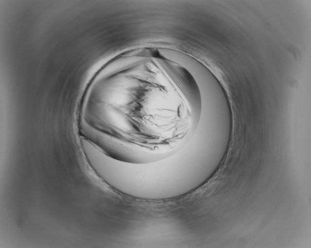 X0000111120960200907281026