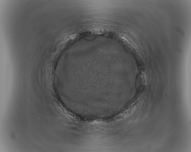 X0000111120961200907281025
