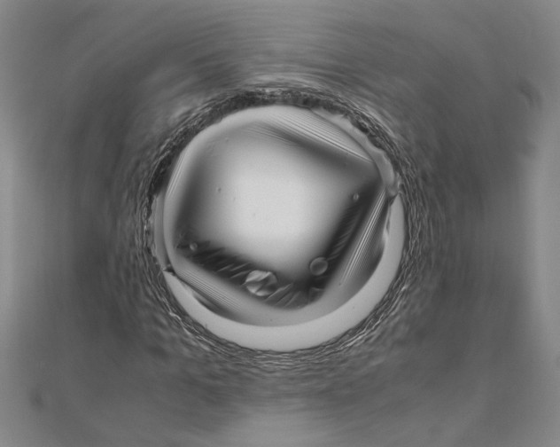 X0000111120965200907281025