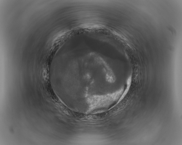 X0000111120966200907281025