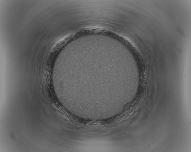 X0000111120967200907281025