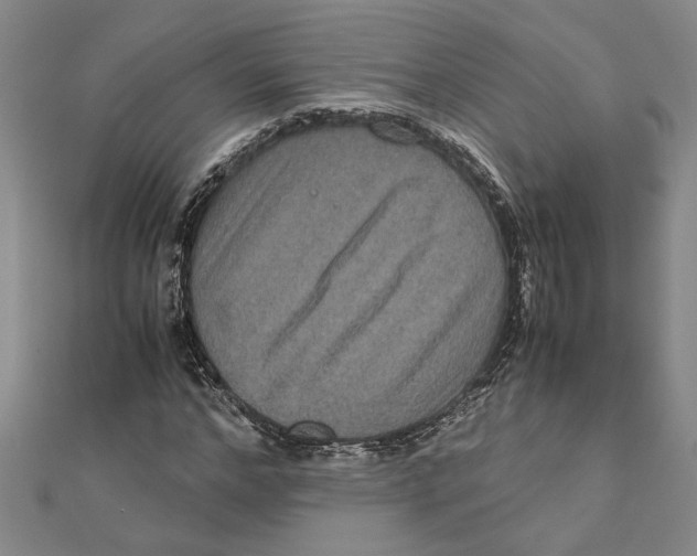 X0000111120968200907281025