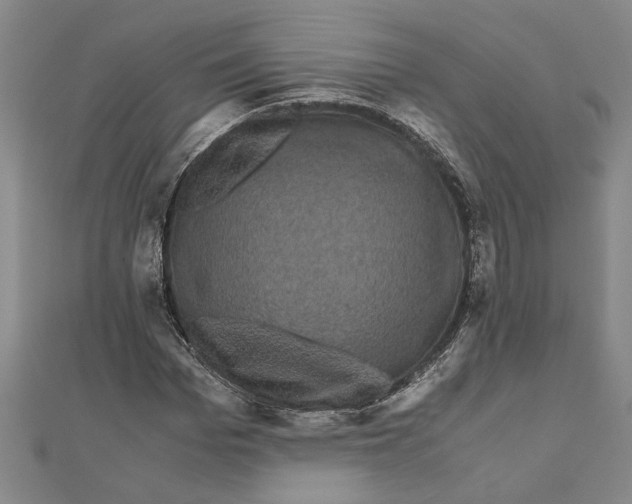 X0000111120969200907281025