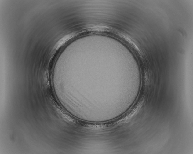 X0000111120970200907281025