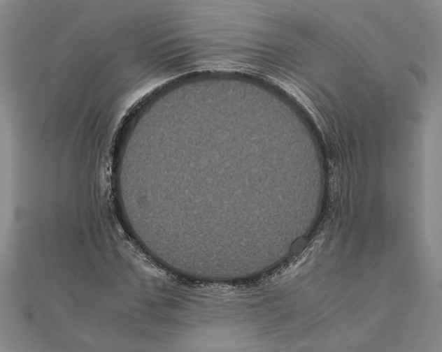 X0000111120971200907281025