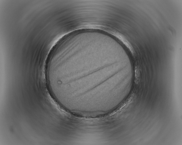 X0000111120972200907281025