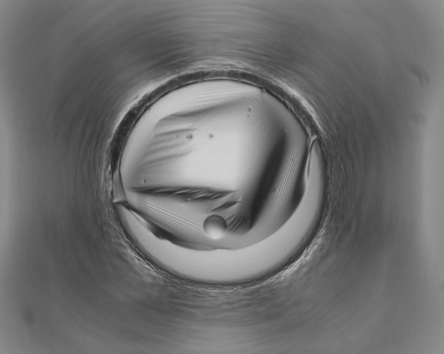 X0000111120973200907281025