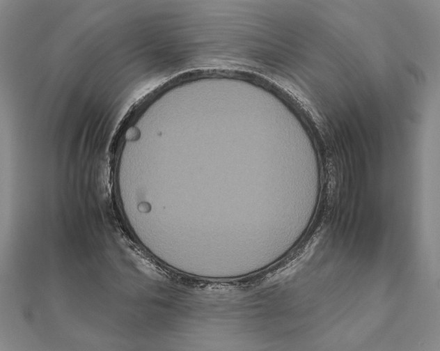 X0000111120974200907281025