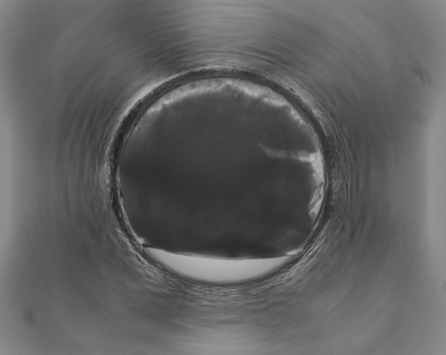 X0000111120975200907281025