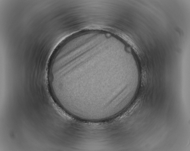 X0000111120976200907281025