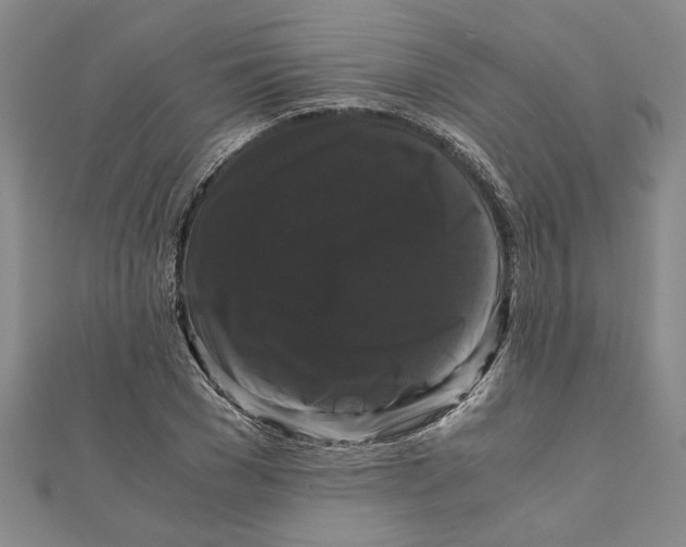 X0000111120977200907281025