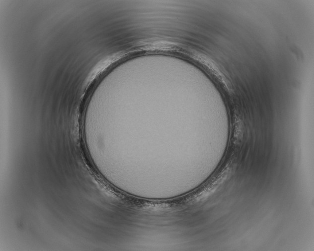 X0000111120978200907281025