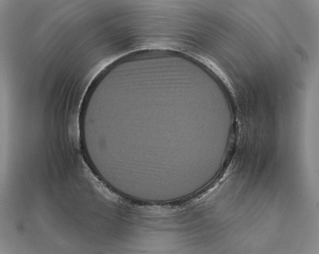 X0000111120980200907281025