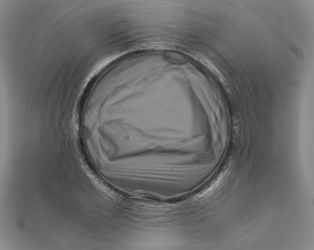 X0000111120981200907281025