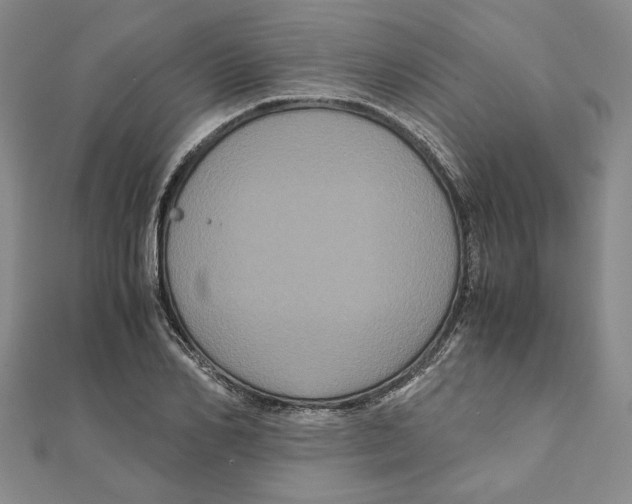 X0000111120982200907281025