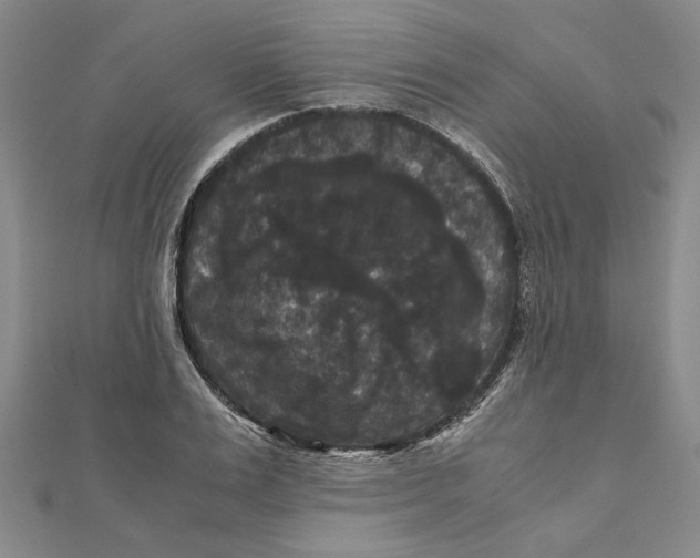 X0000111120983200907281025