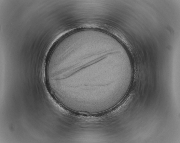 X0000111120984200907281025