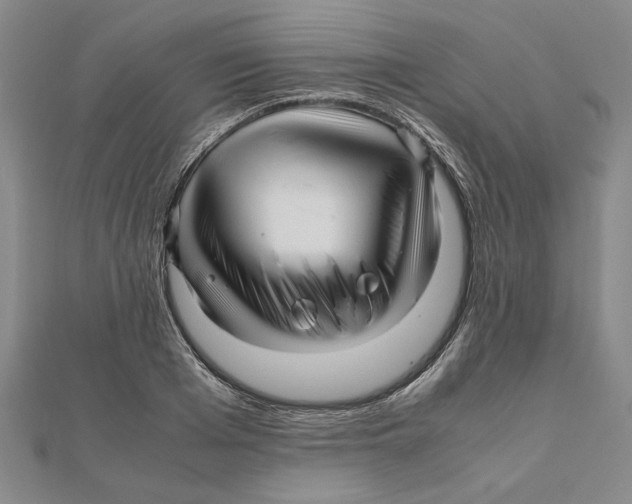 X0000111120985200907281025