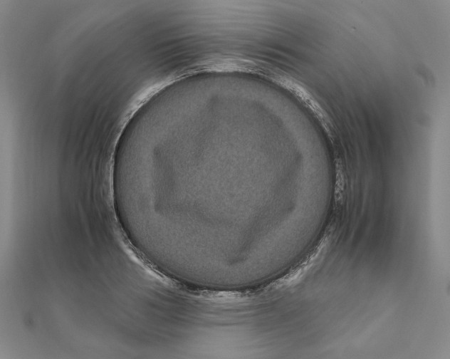 X0000111120986200907281025