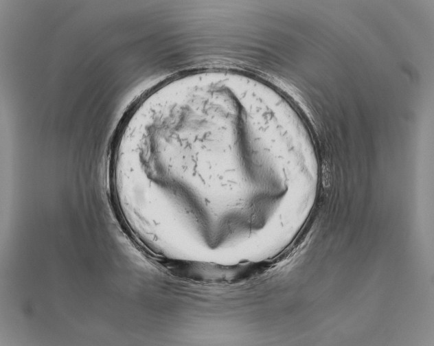 X0000111120987200907281025