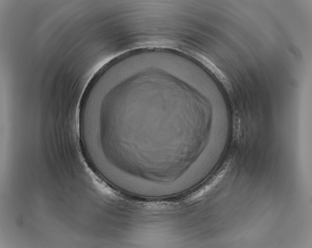 X0000111120988200907281025