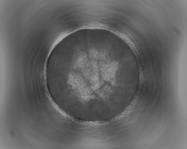 X0000111120990200907281025