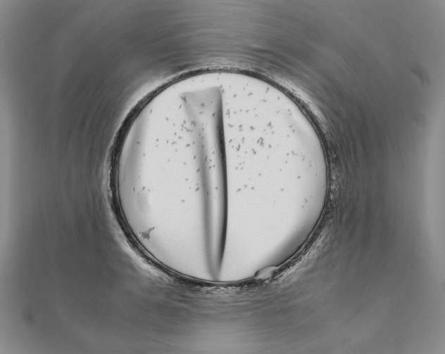 X0000111120991200907281025