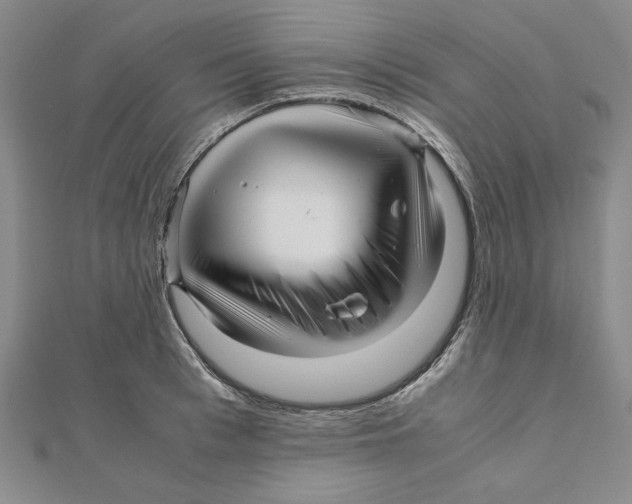 X0000111120993200907281025