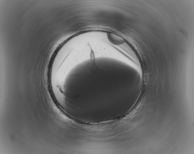 X0000111120995200907281025