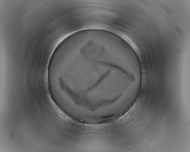 X0000111120996200907281025