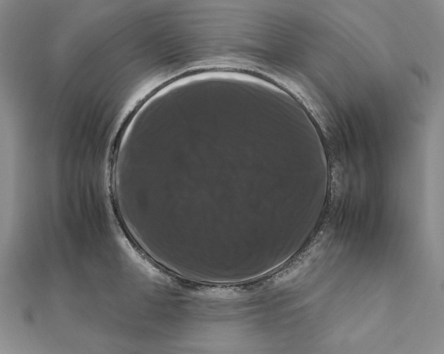 X0000111120998200907281025