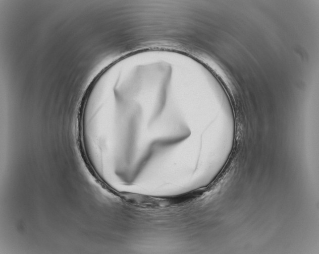 X0000111120999200907281025