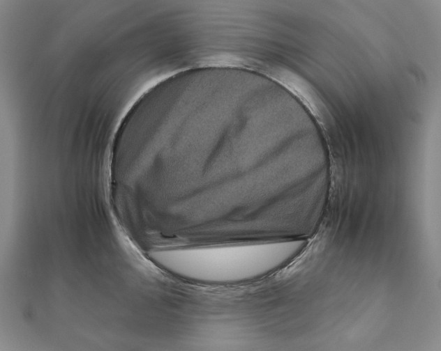 X0000111121000200907281025