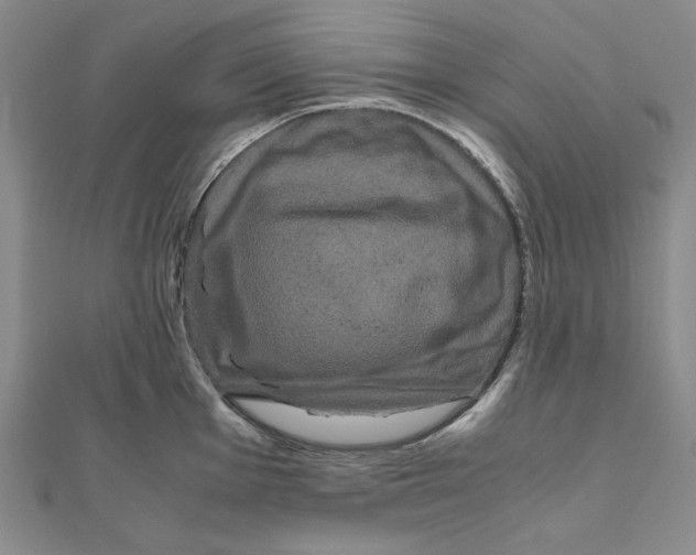 X0000111121001200907281025