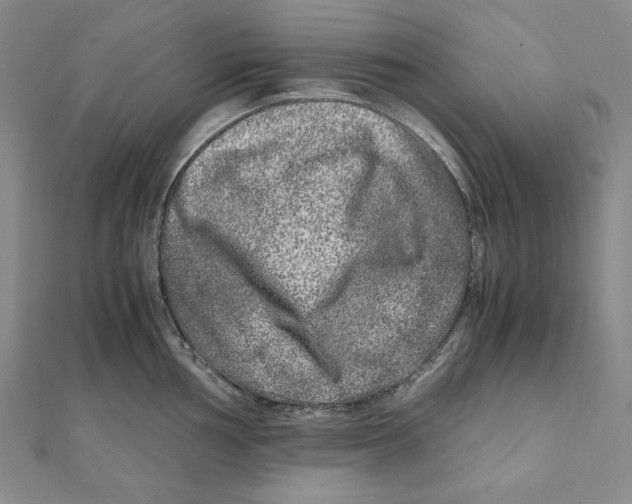X0000111121002200907281025
