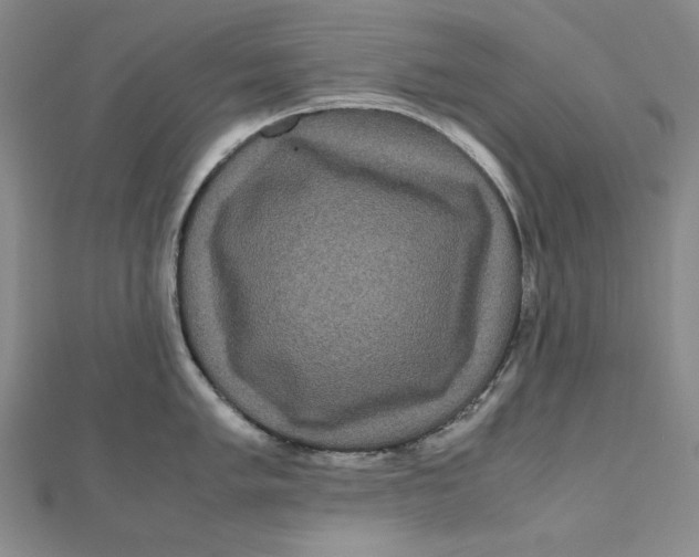 X0000111121005200907281025